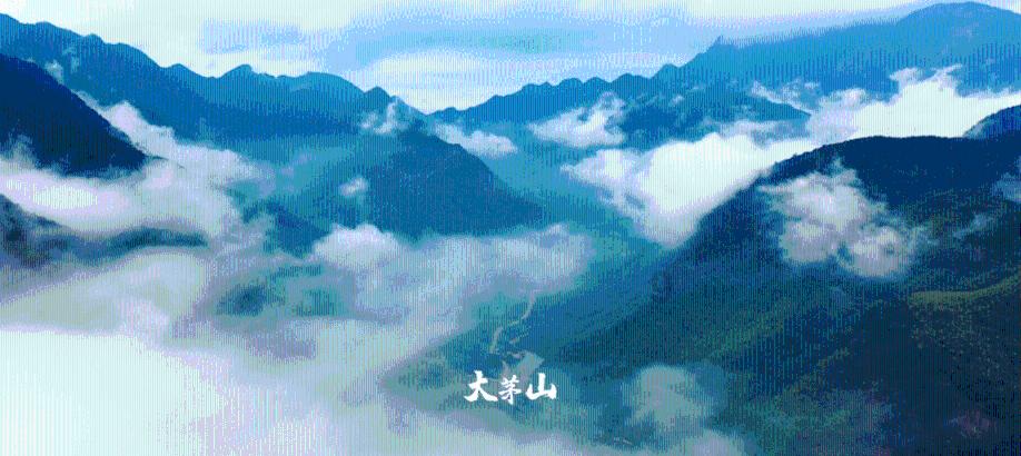 全新纯电动Macan海外售价曝光