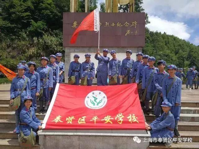 雨后盛放